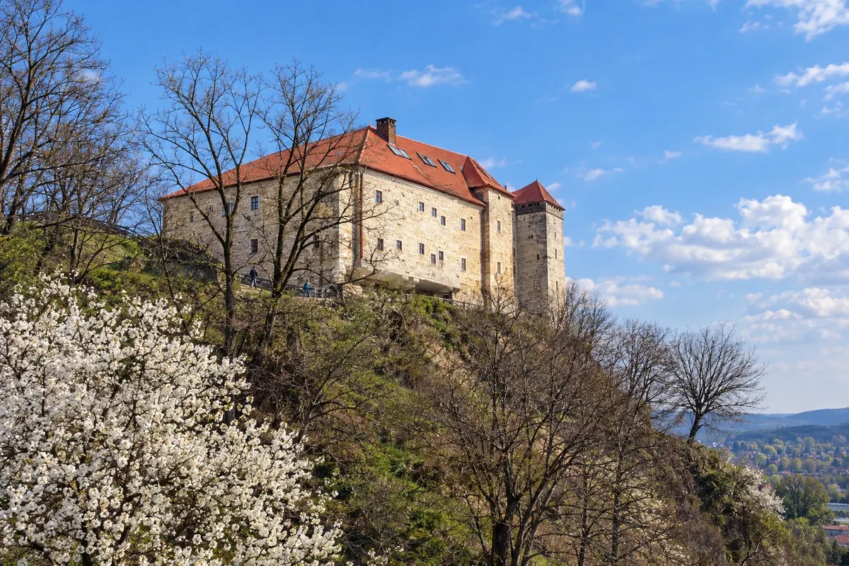 Sanok