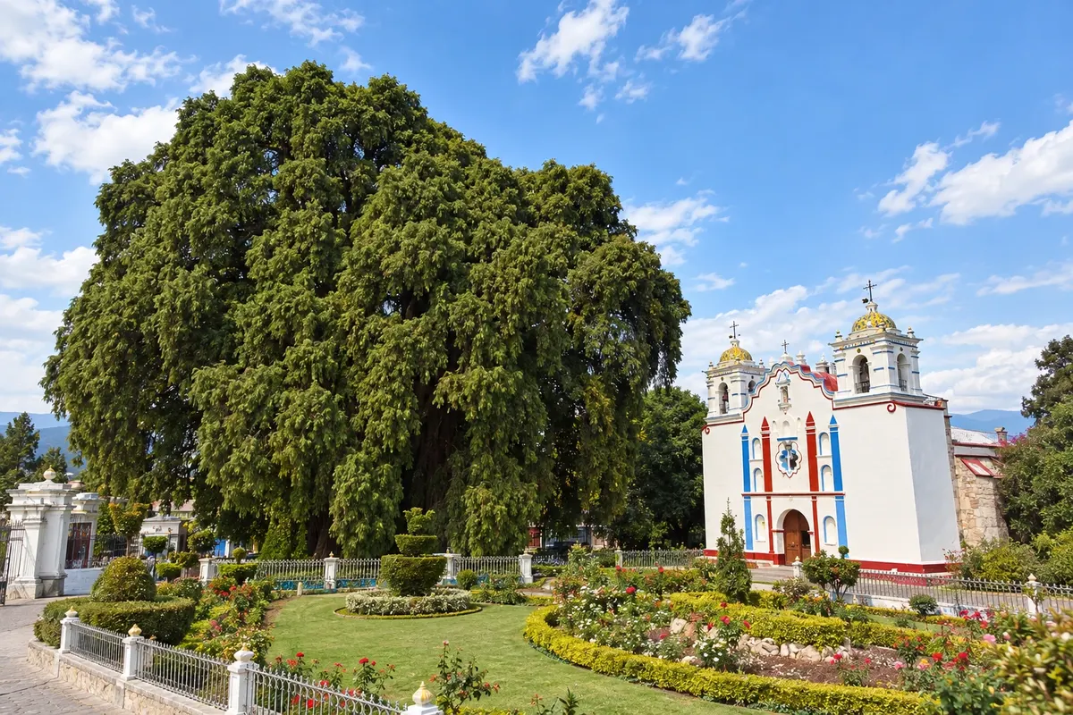 Santa María del Tule