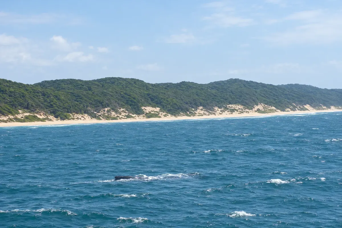 Sodwana Bay