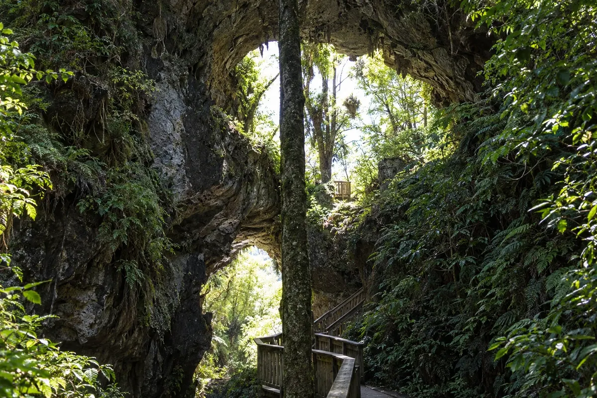 Waitomo Caves