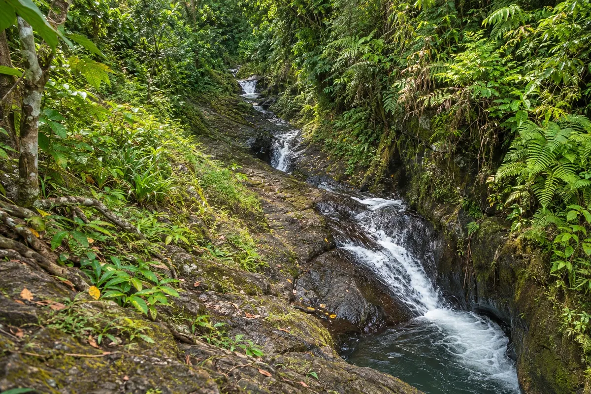 Waiyevo