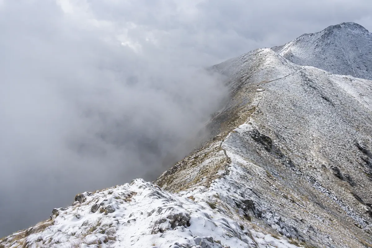 Fiordland