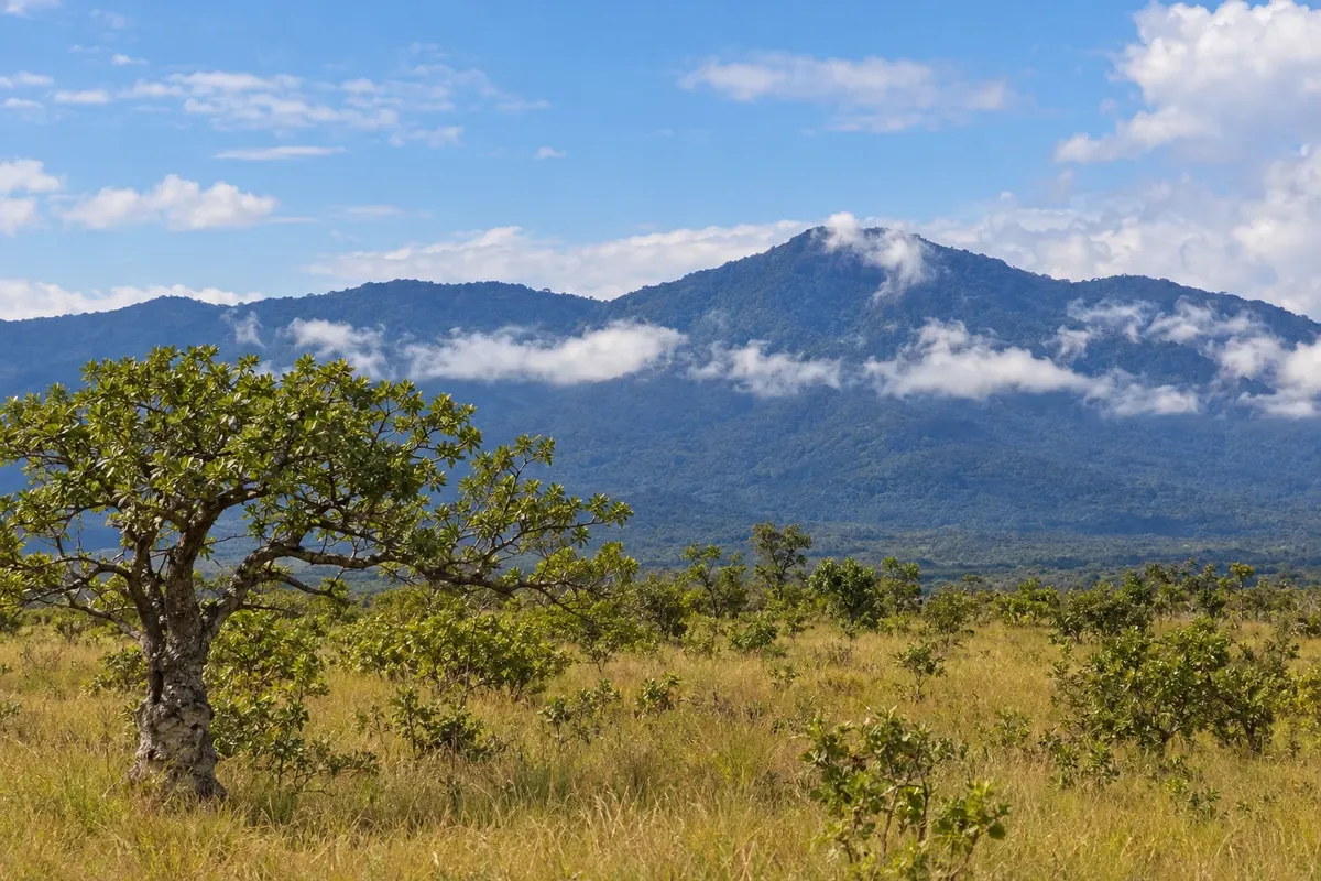 Lethem and the Rupununi
