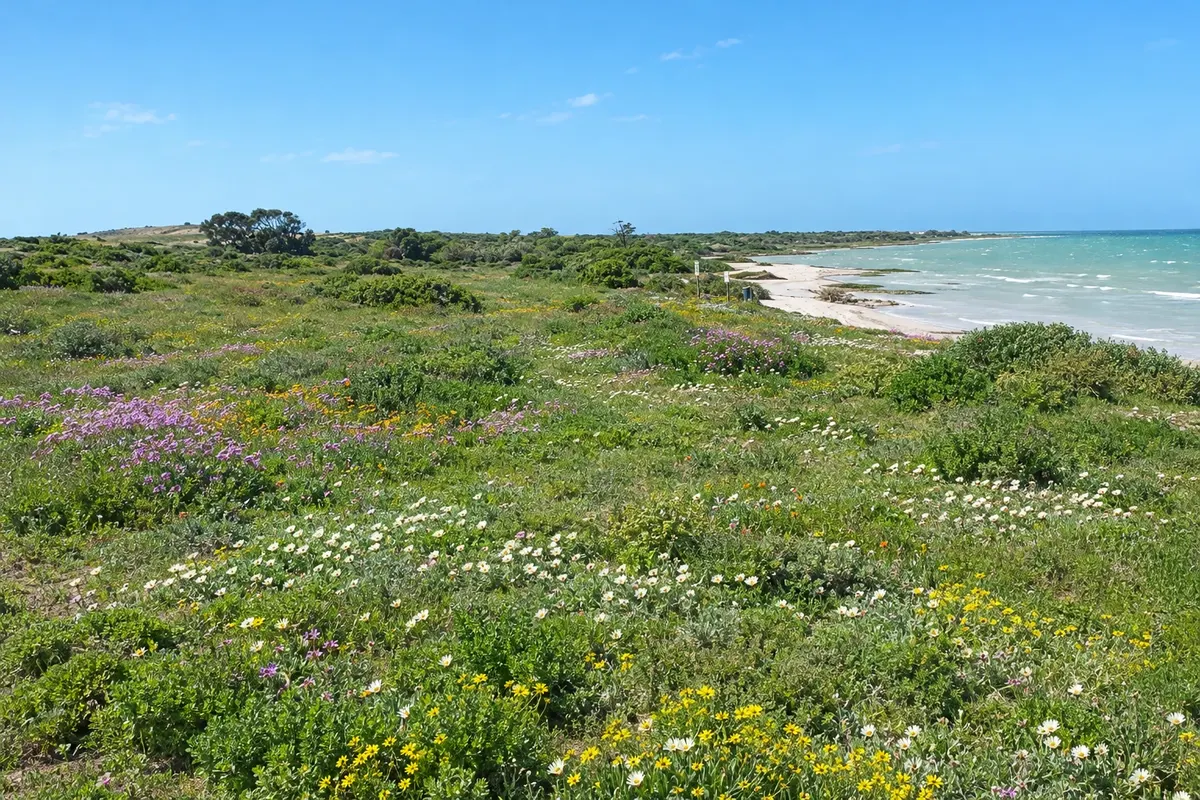 Namaqualand