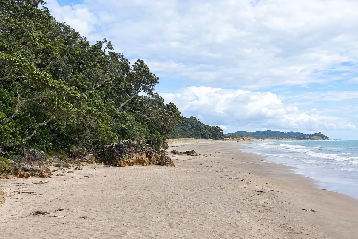 Coromandel Peninsula