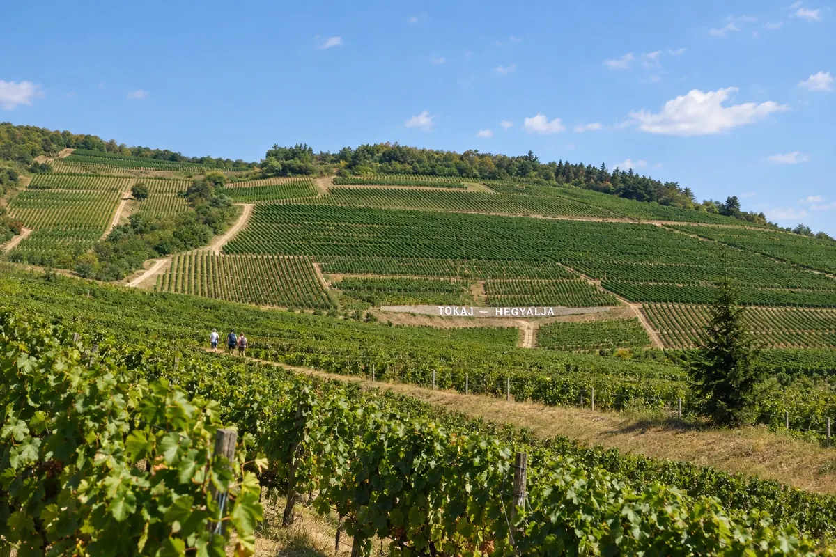 Tokaj-Hegyalja