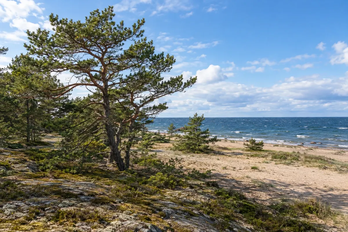 Turku and the archipelago