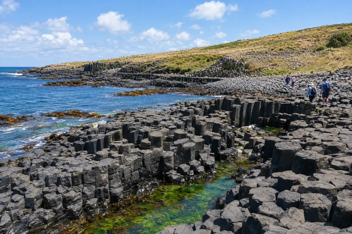 Chatham Islands