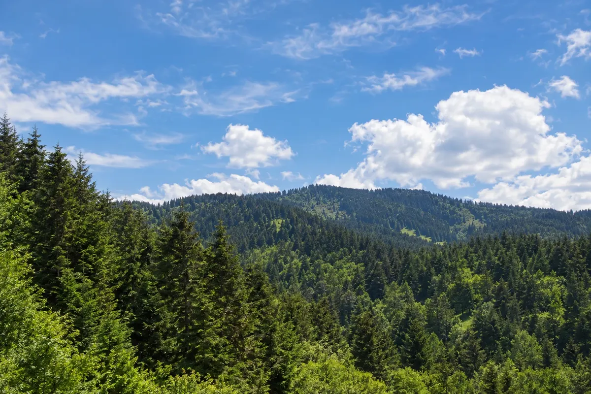 Montaña de Ilgaz (Ilgaz Dağı)