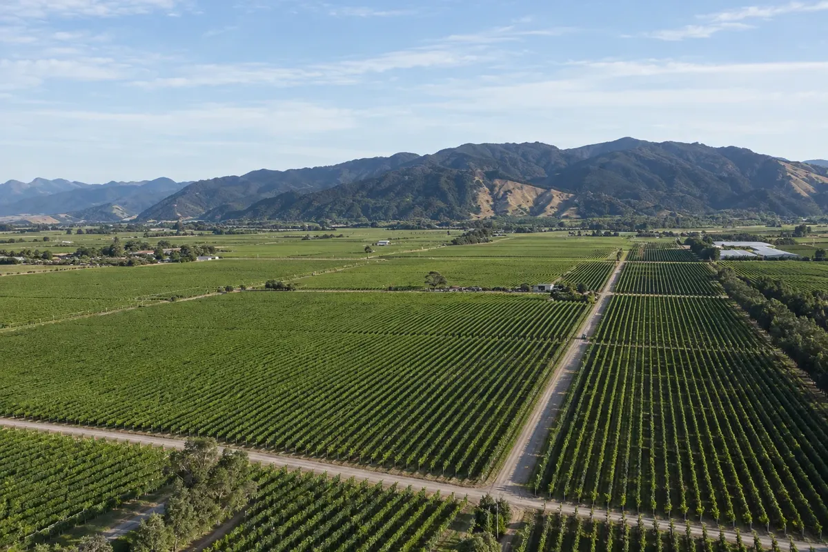 Marlborough