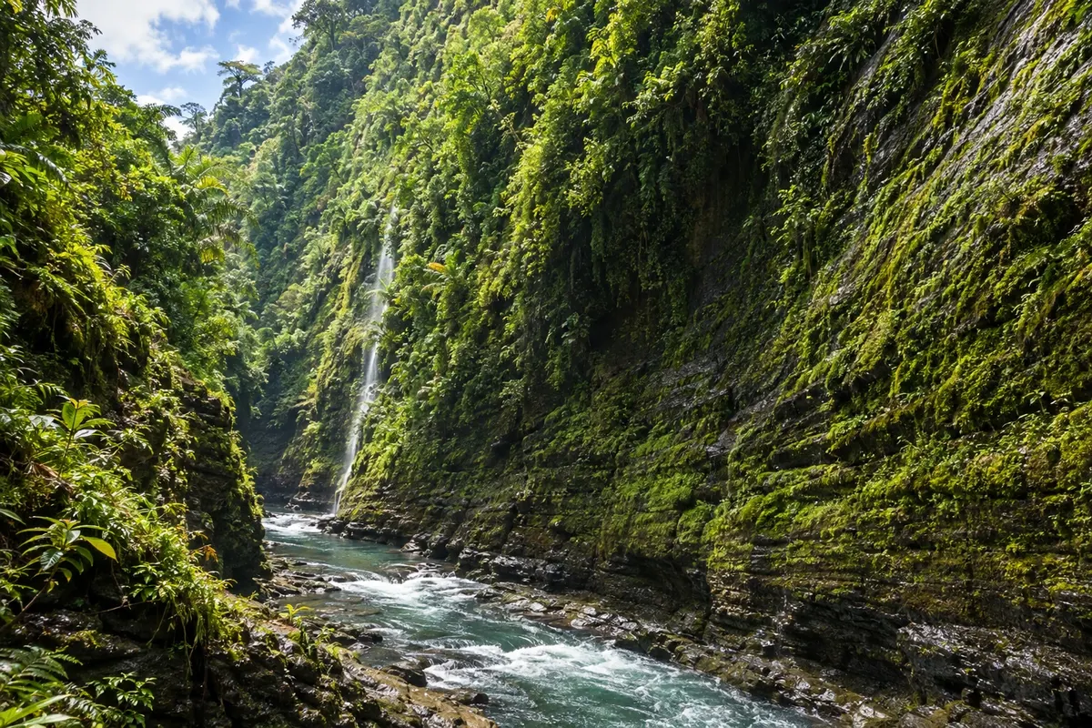 Cañón del alto río Navua, Namosi Highlands
