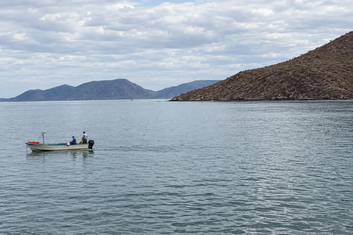 Sinaloa