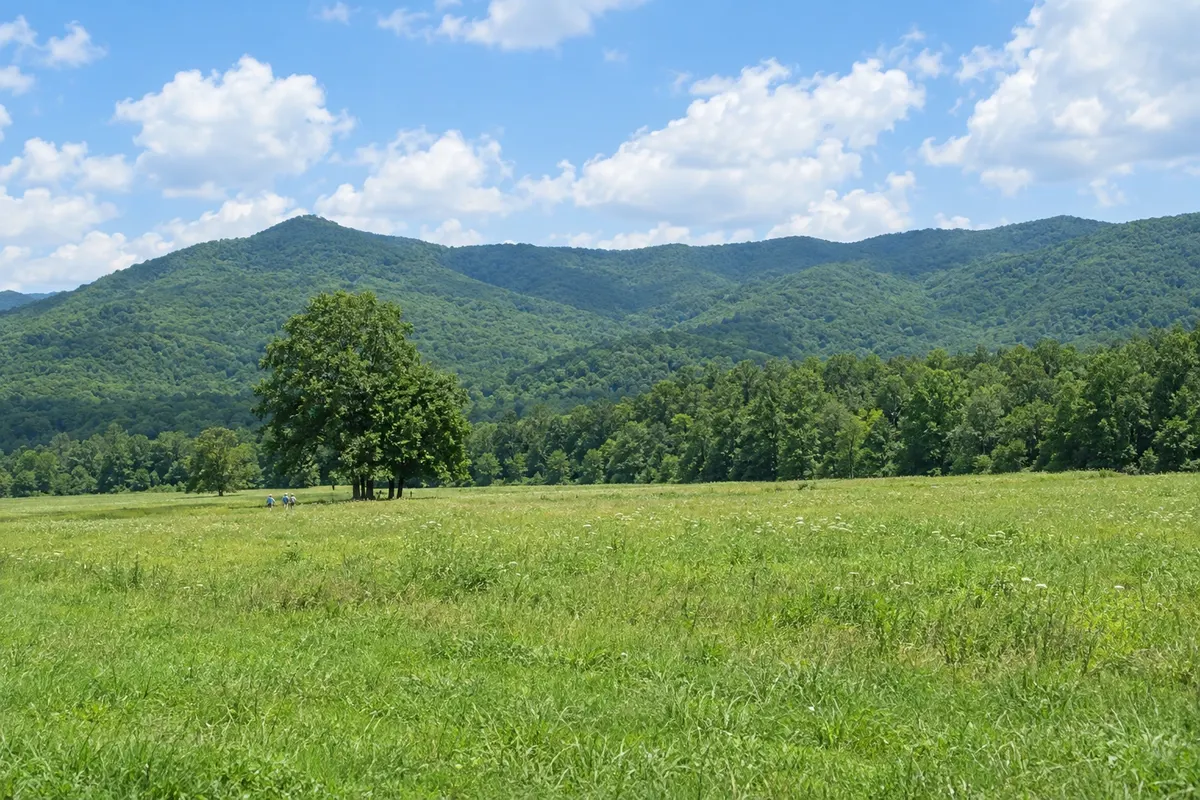 Tennessee