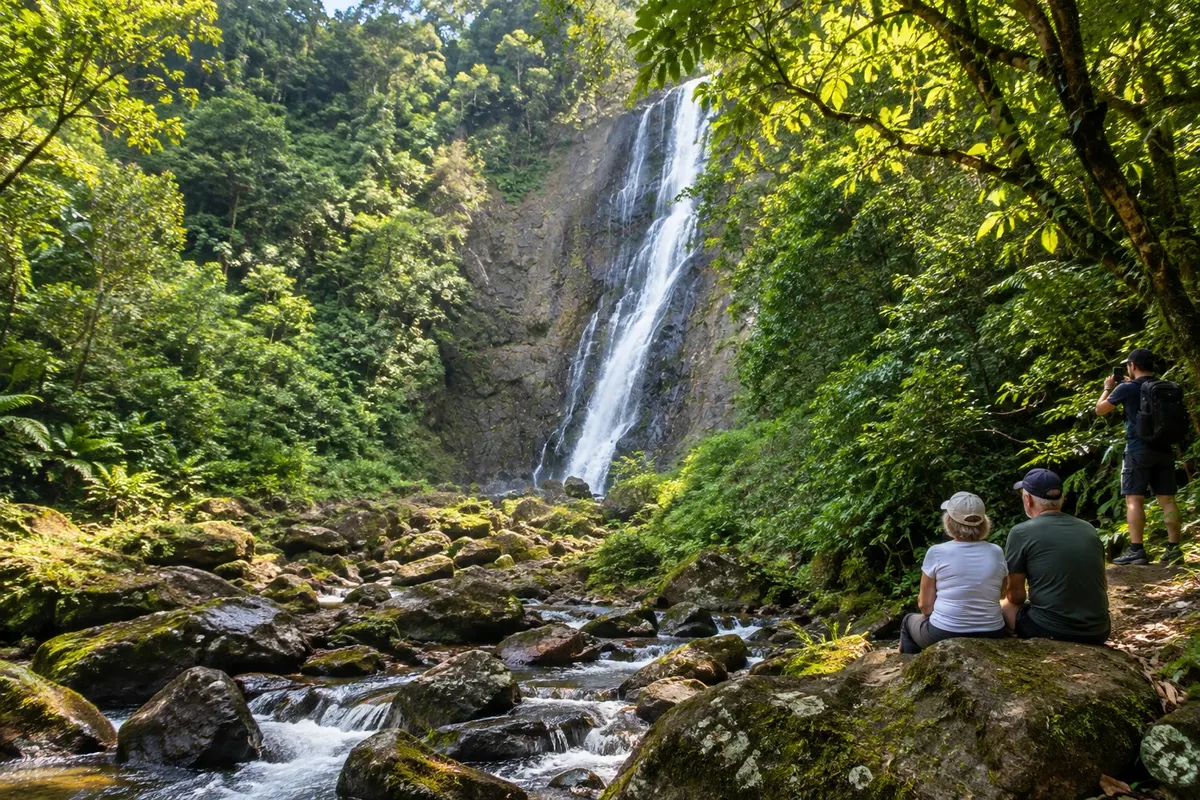 The falls and the river among the rocks