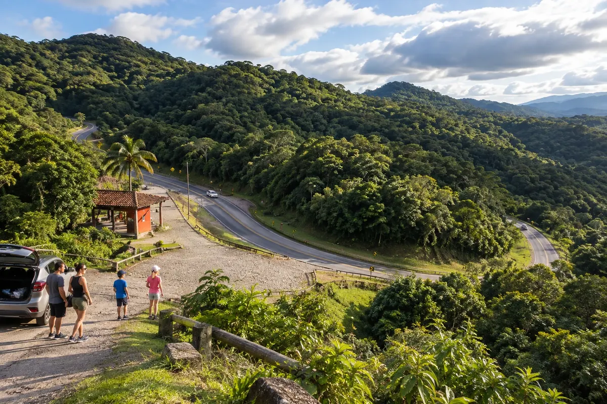 View from high on the road, surrounded by forest.