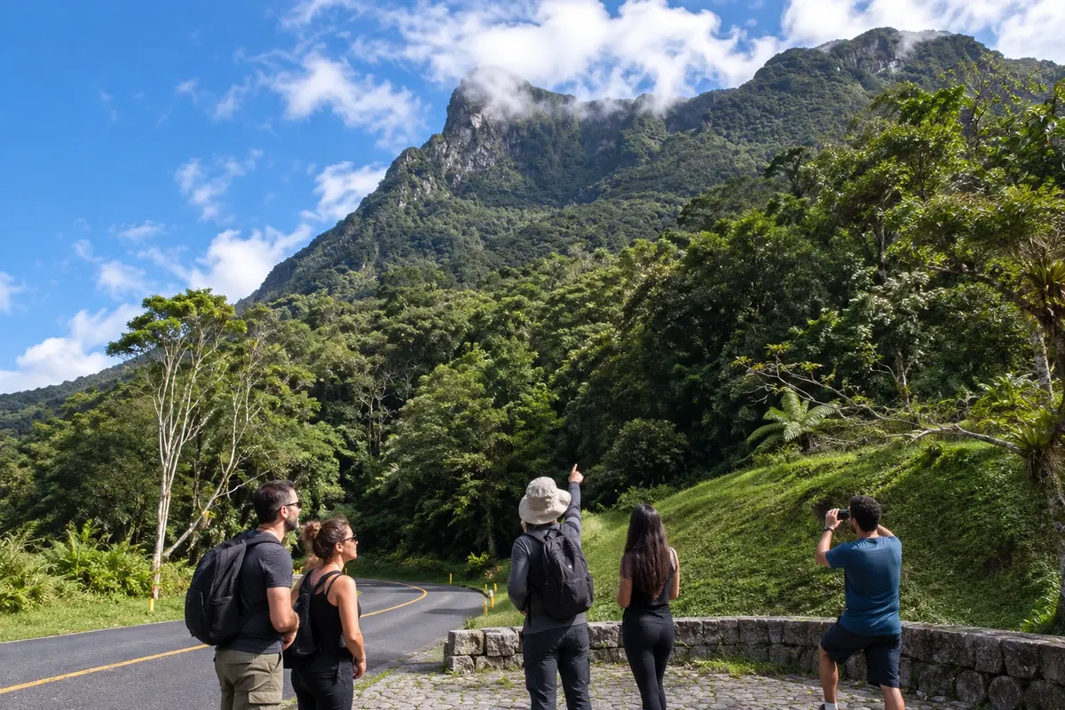 The cliffs of the Serra do Mar run alongside the road.