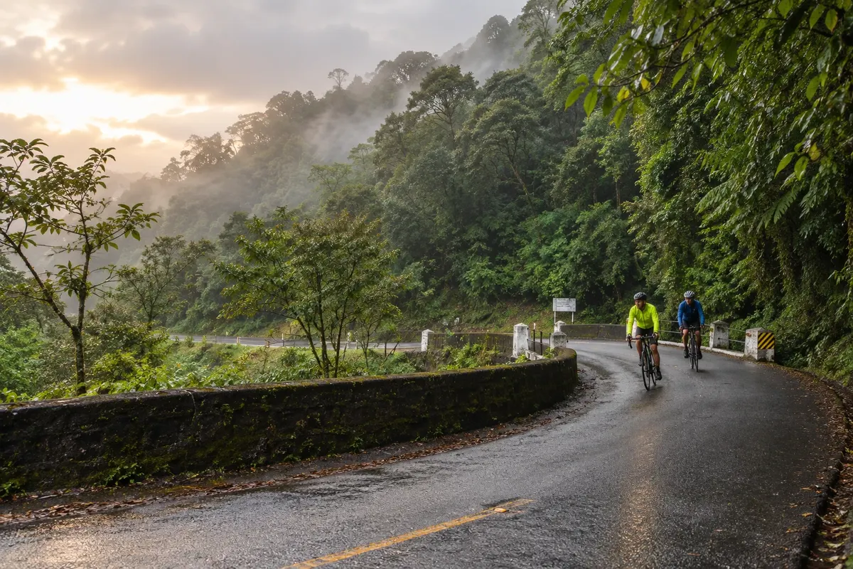 Tight curves and dense forest along the way.