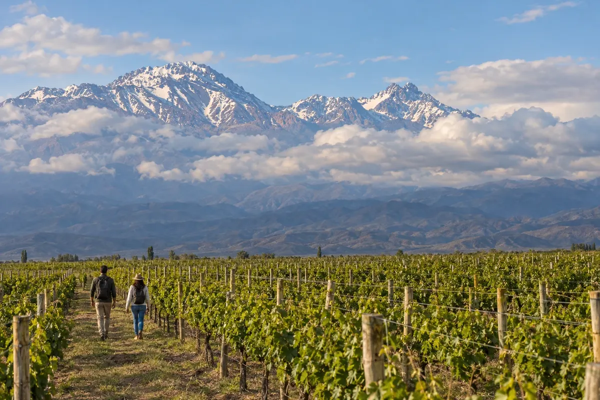 Mendoza Wine Routes