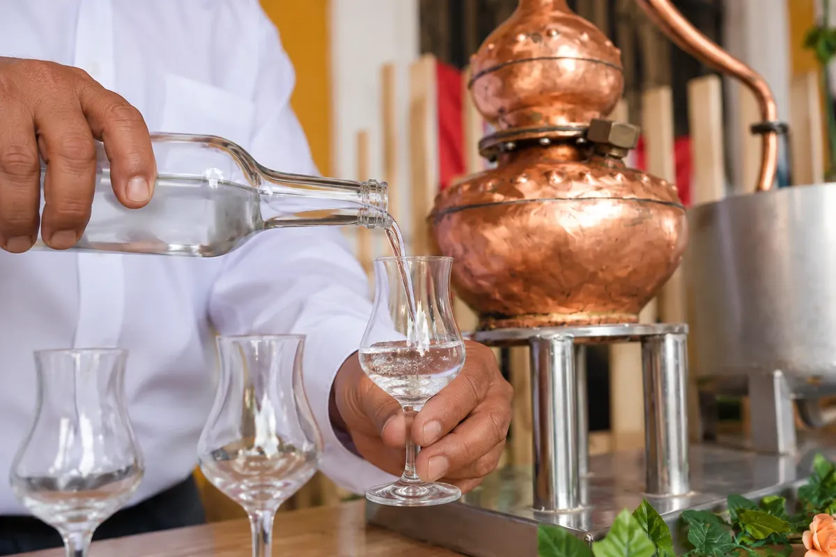 Pisco: preparation or service.