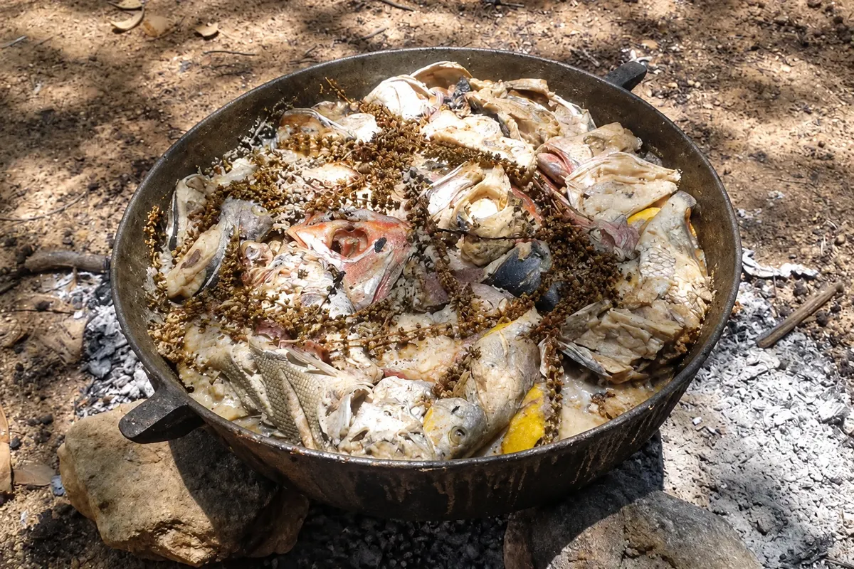Rondón — detalle.