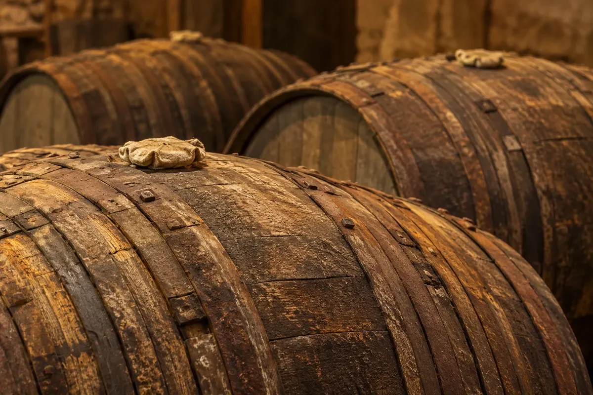 Oak barrels used in the aging of cognac.