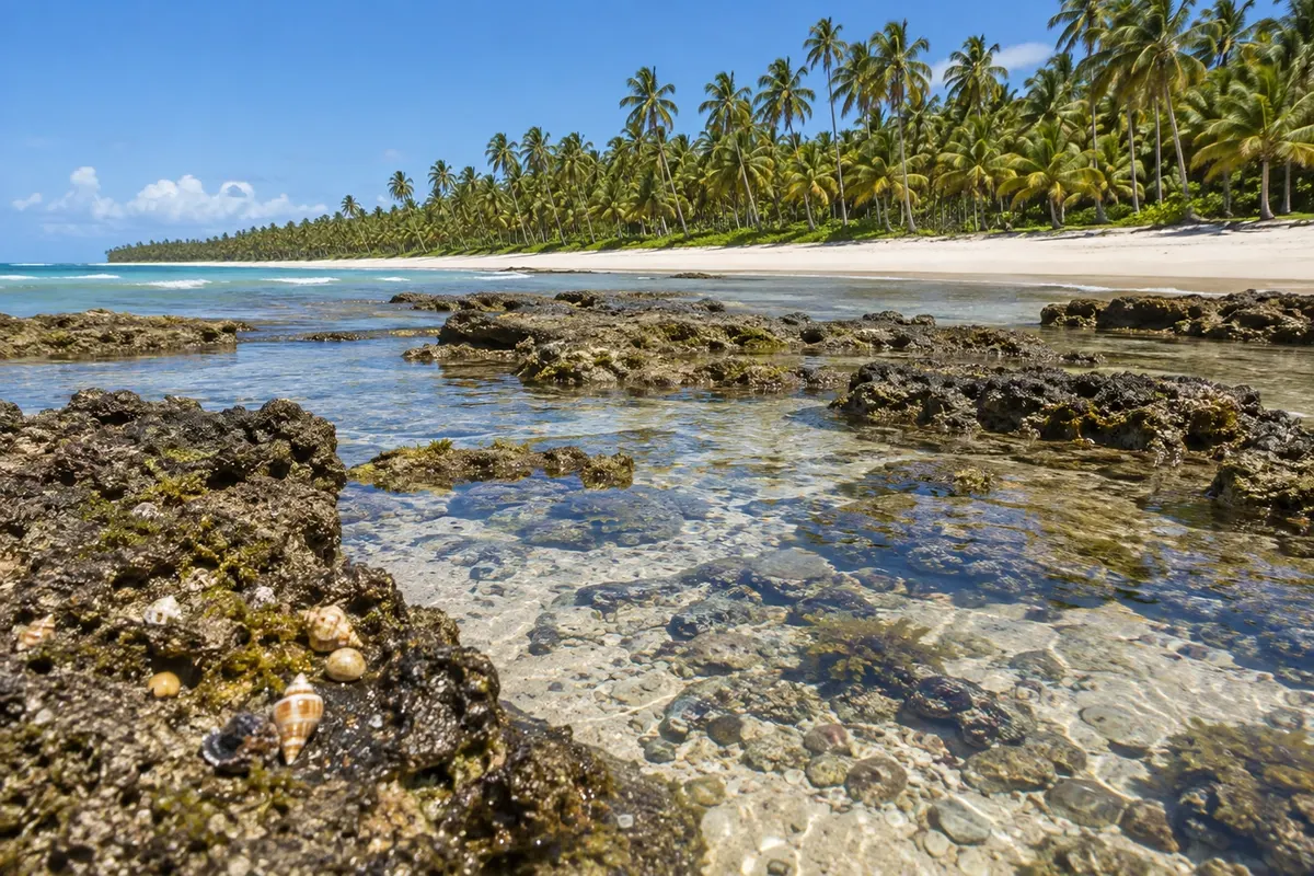 Praia do Patacho